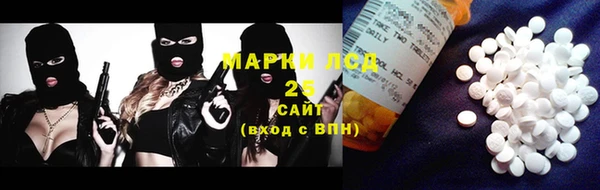 ПСИЛОЦИБИНОВЫЕ ГРИБЫ Баксан