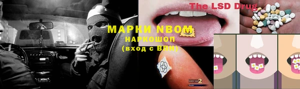 ПСИЛОЦИБИНОВЫЕ ГРИБЫ Баксан