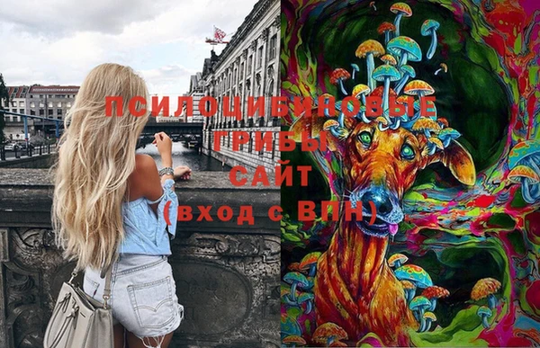 ПСИЛОЦИБИНОВЫЕ ГРИБЫ Баксан